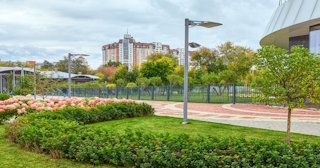 Профессиональное озеленение улиц в Череповце в октябре