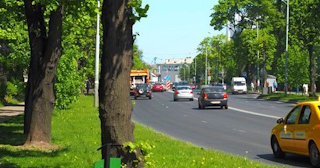 Посадка деревьев и кустарников в Череповце — стоимость от 1227 руб.